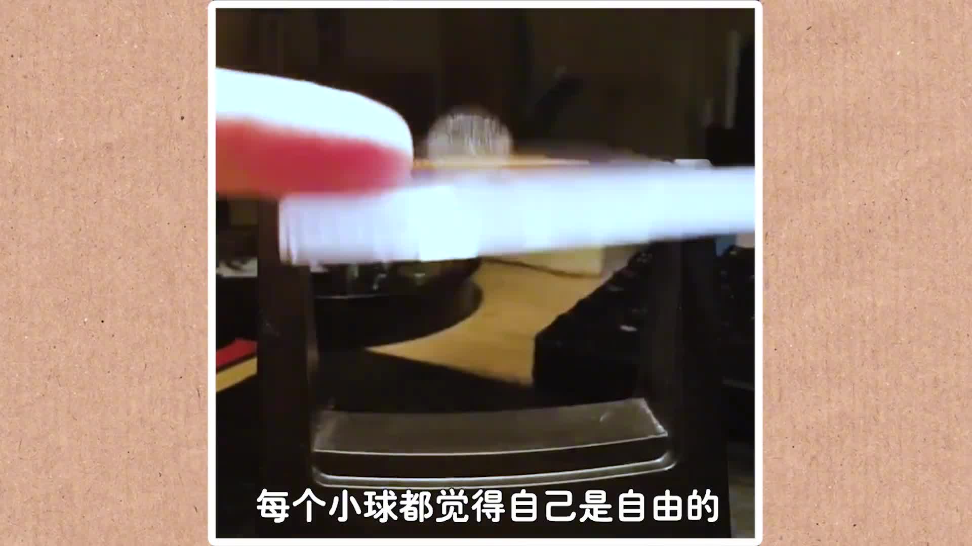 高尔顿板是什么让3000颗小球从板中落下神奇的现象发生了