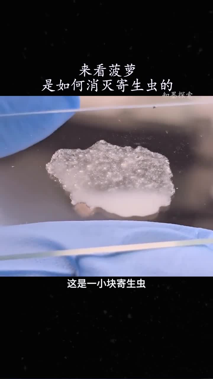 来看菠萝是如何消灭寄生虫的
