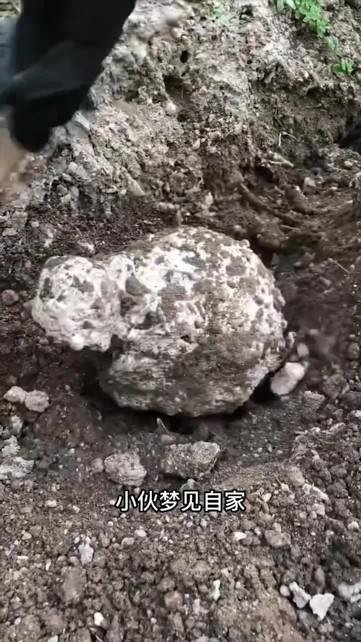男人在自家后院挖出宝藏