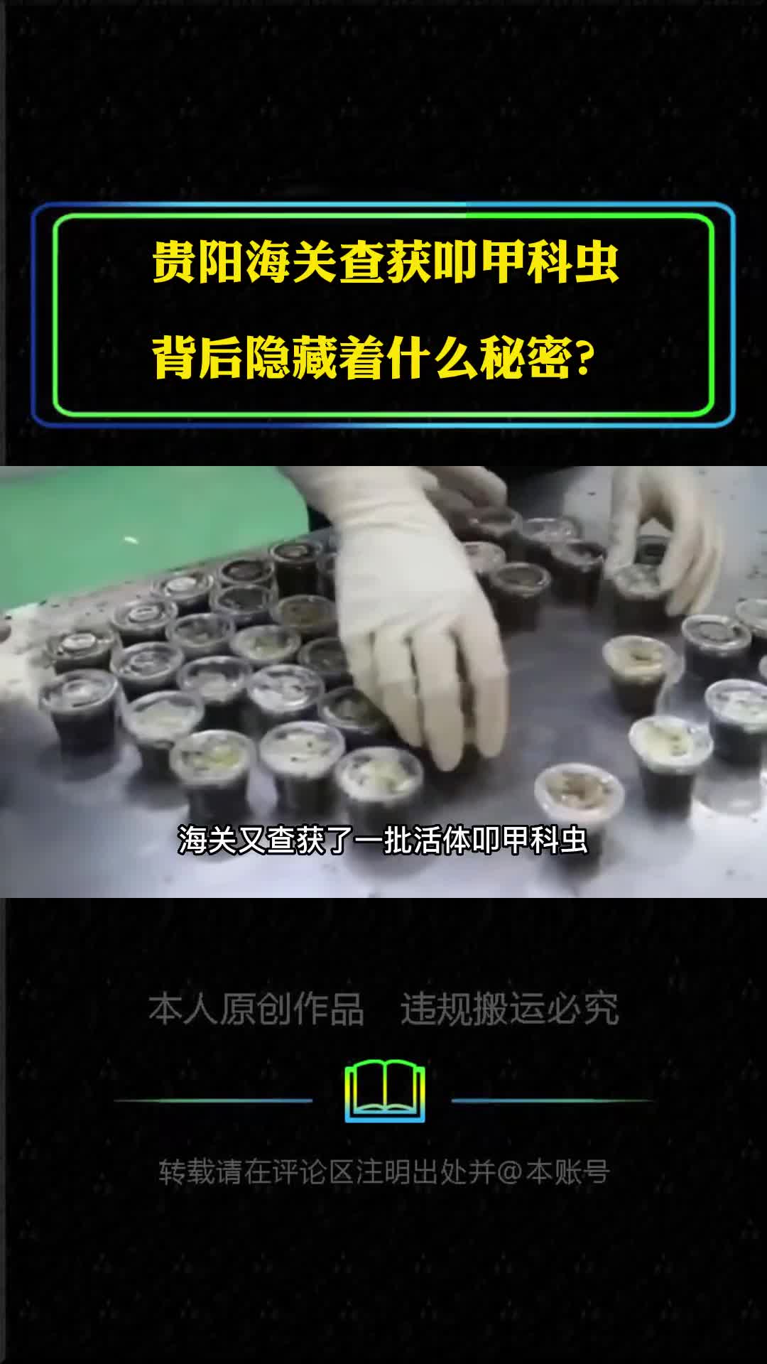 贵阳海关查获叩甲科虫背后隐藏着什么秘密