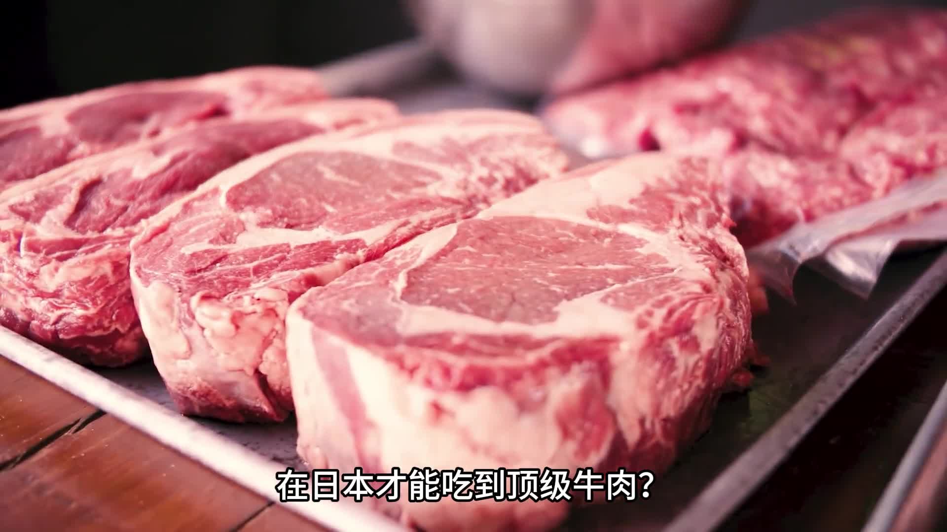 在国外才能吃到顶级牛肉不山东就有淄博高青的纽澜地黑牛肉拥有80和牛血统舌尖导演吃了都说好