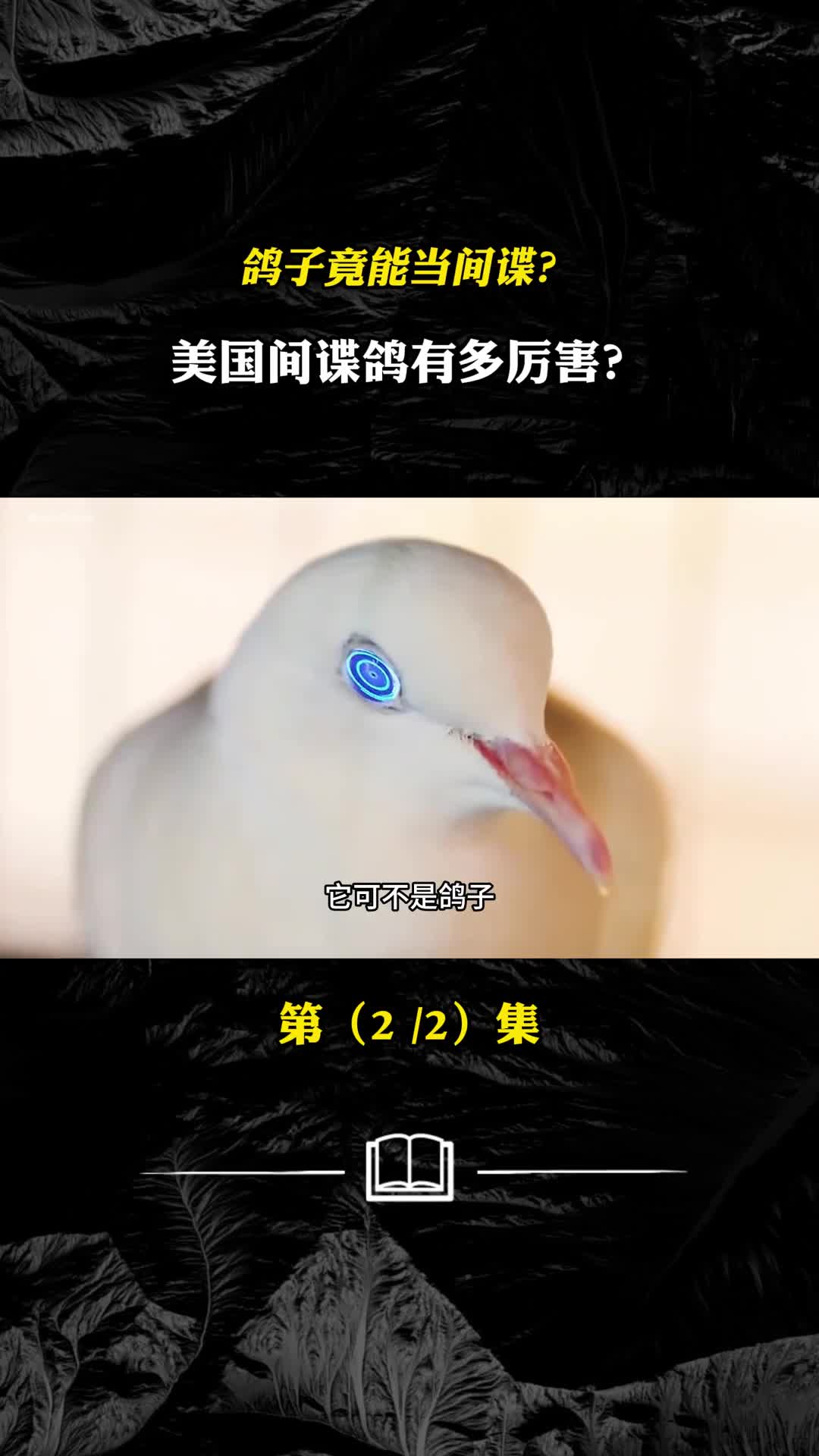 鸽子竟能当间谍监控打击还能自毁美国间谍鸽有多厉害