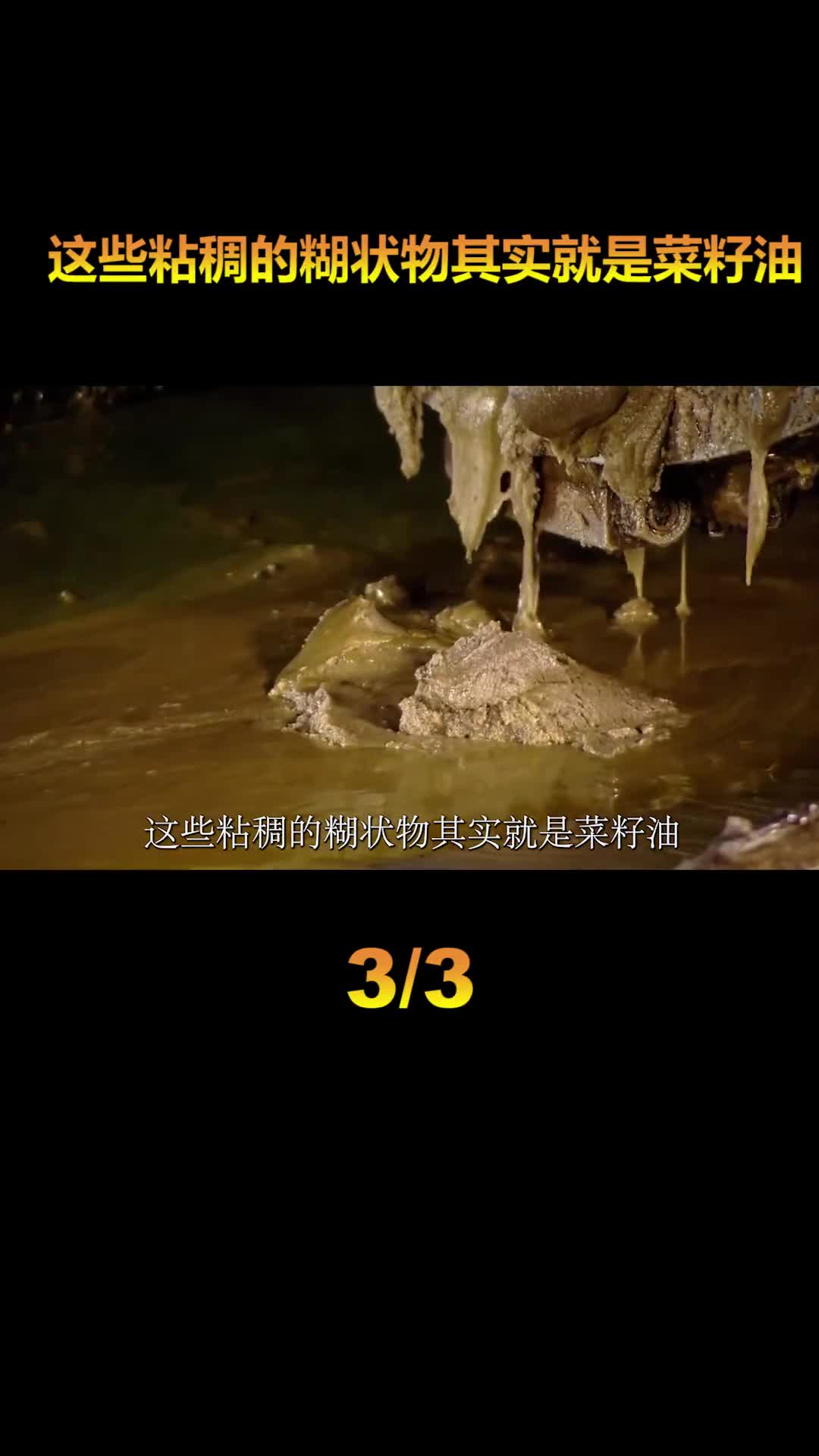 菜籽油的生产可不简单这些步骤缺一不可