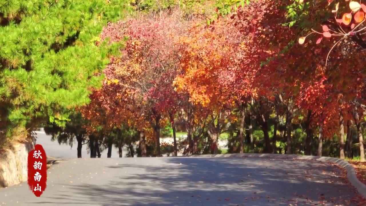 在这美丽的时光里演绎一场与秋天的相逢让南山美丽的秋日景色还你心灵一份恬然洒脱