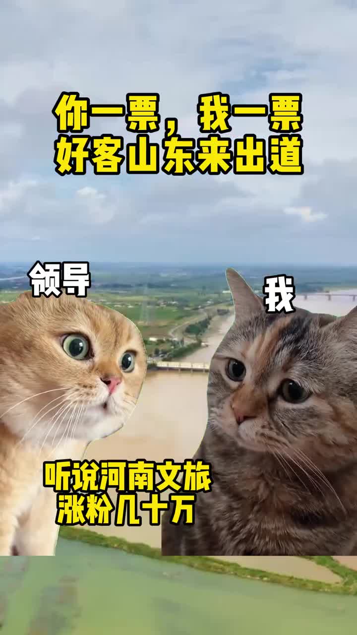 听说隔壁河南文旅涨了几十万粉鲁鲁俺也想要