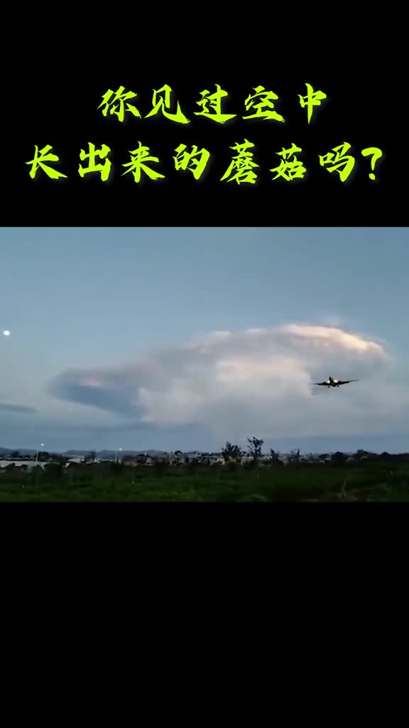 好大一朵蘑菇4日云南普洱市上空出现巨型蘑菇云