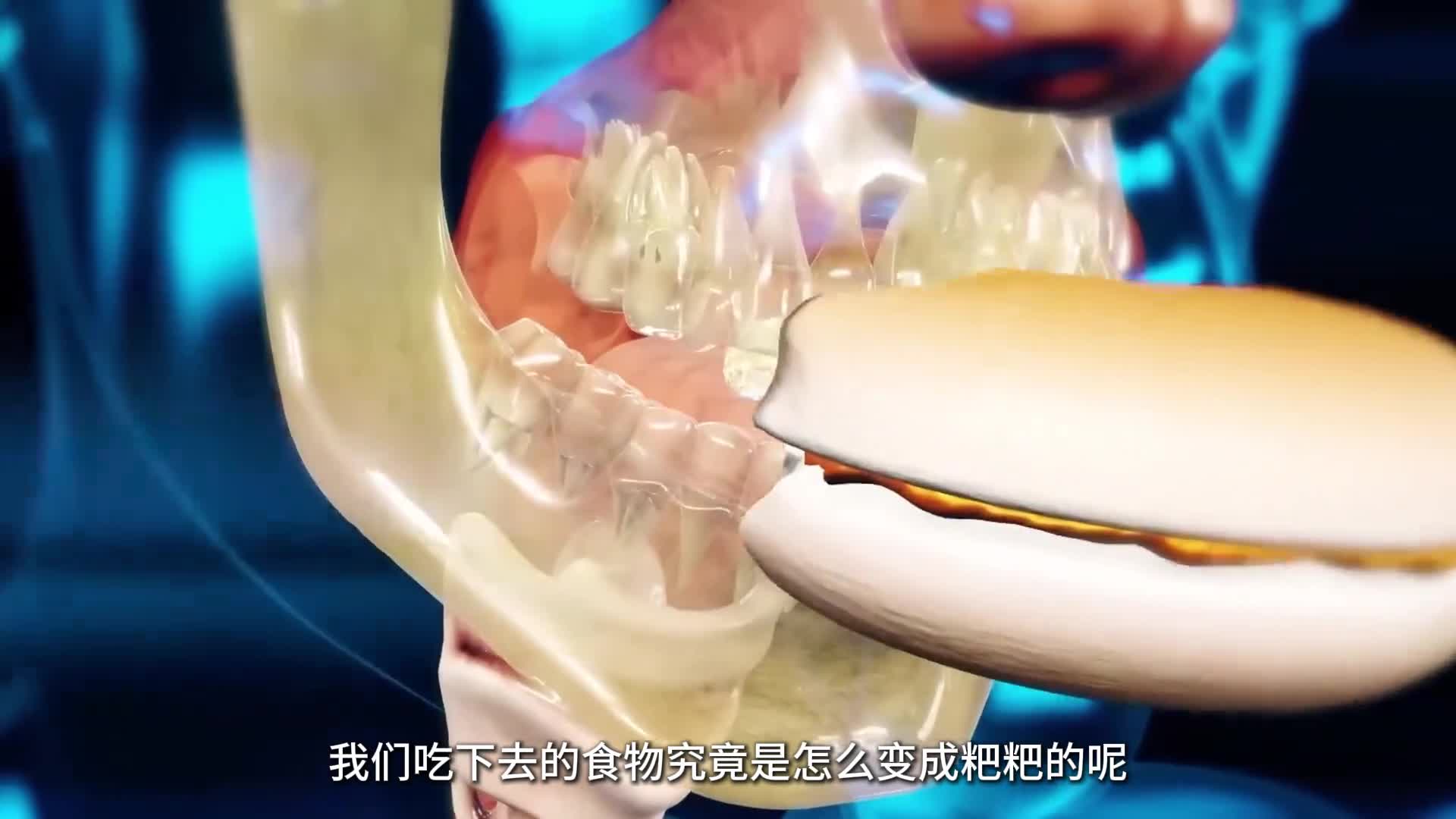 吃下去的食物是如何变成粪便的带你看人体消化原理