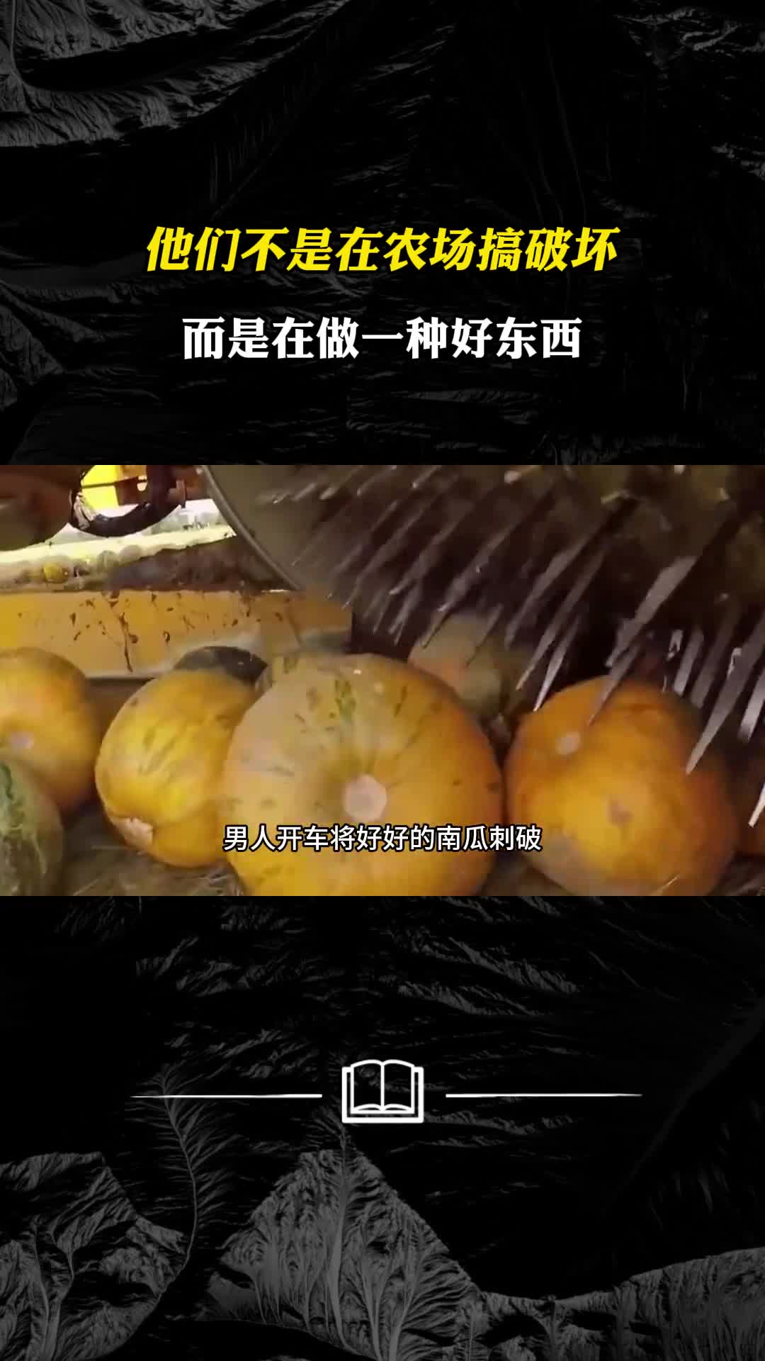 他们不是在农场搞破坏而是在做一种好东西