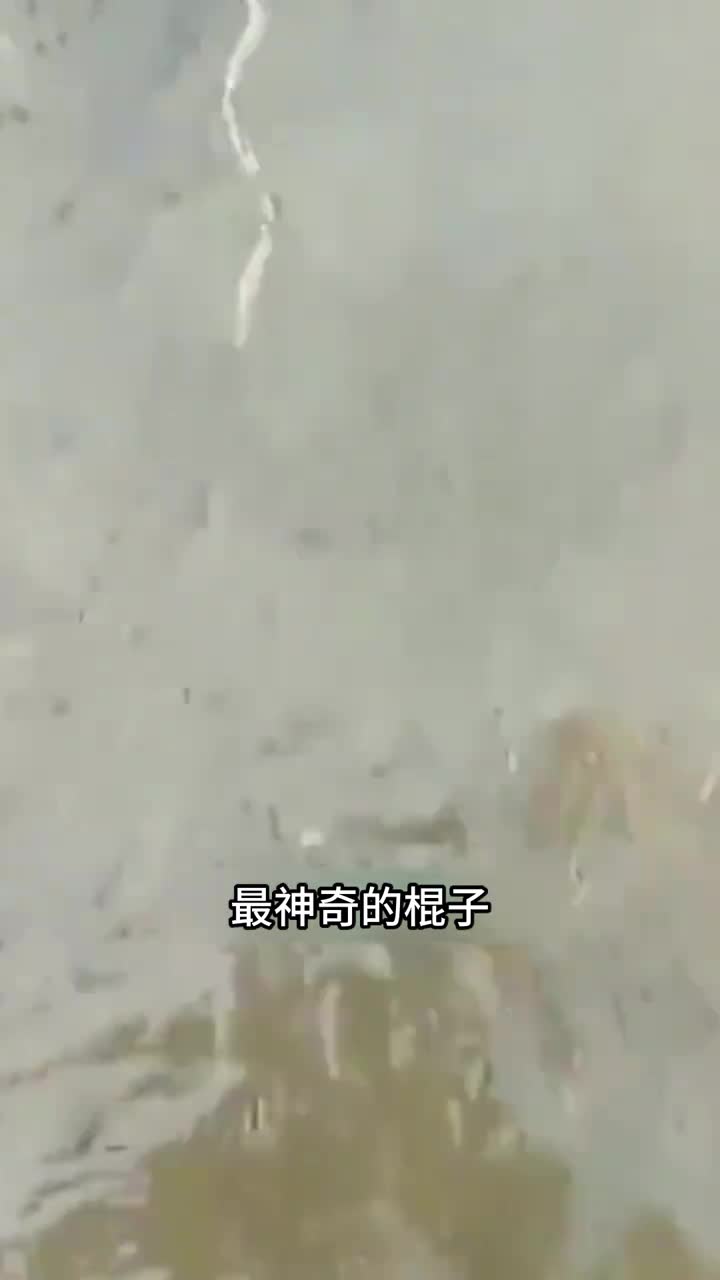 神奇的棍子逆流而上