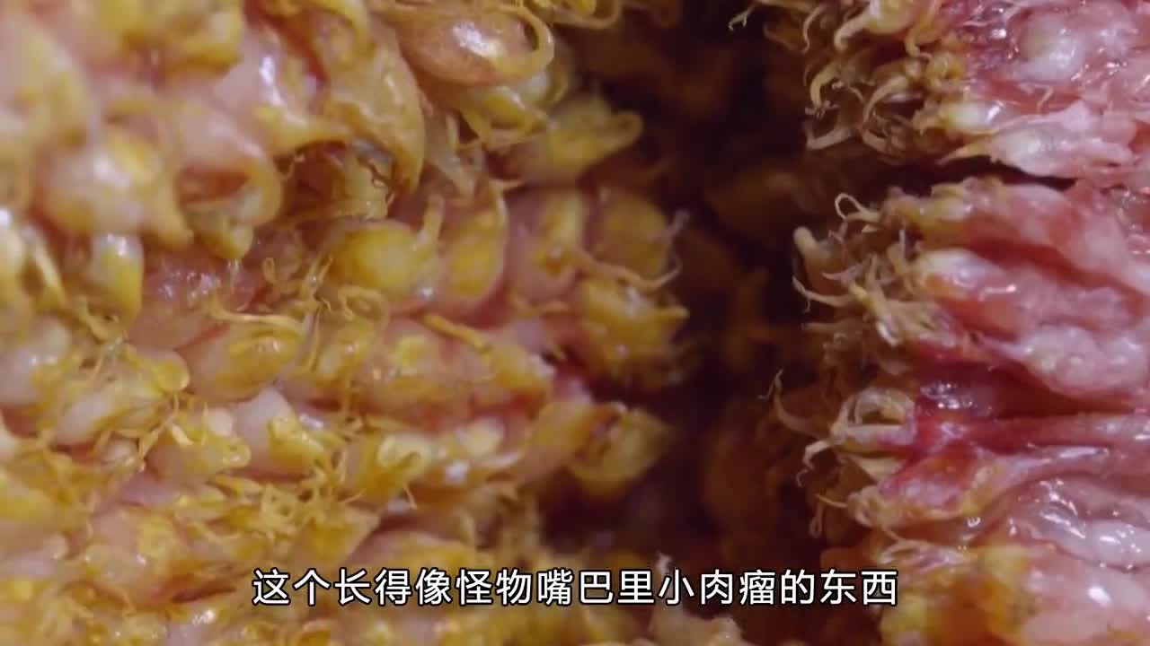 无花果干你吃过吗