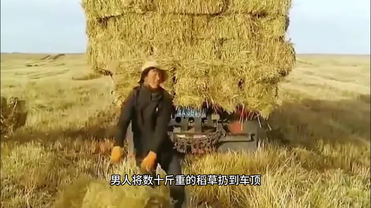 你喜欢吃西梅干吗