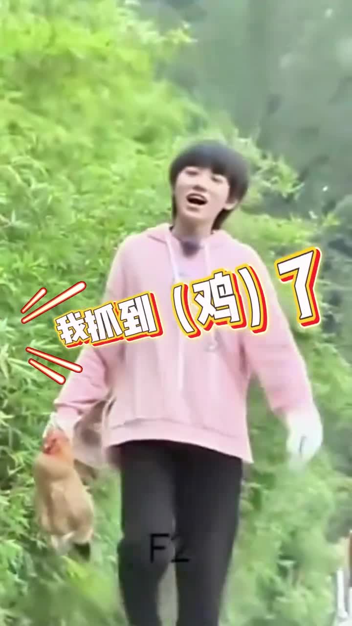 亚轩好不容易抓到的鸡竟然跑到了山东的餐桌上