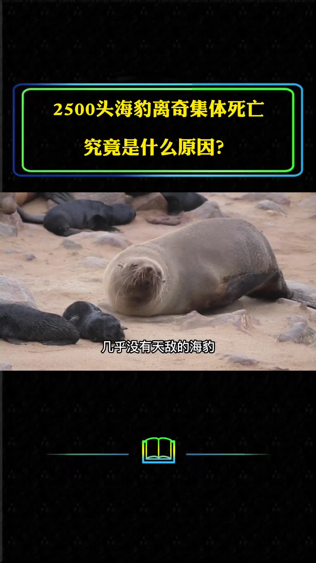 2500头海豹尸体惊现里海岸边物种大量死亡我们的地球怎么了