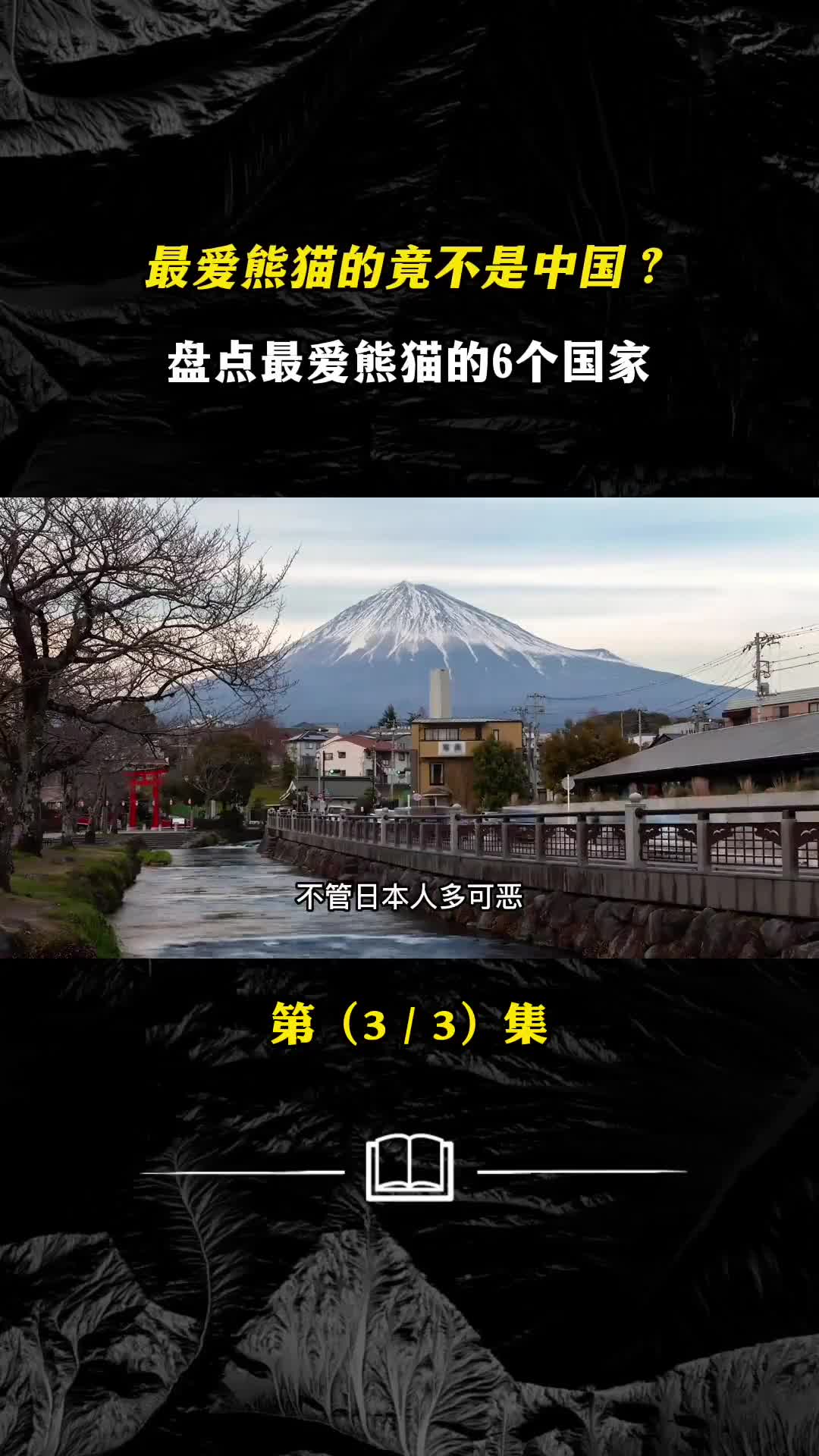 最爱熊猫的竟不是中国盘点最爱熊猫6个国家最后一个令人咋舌