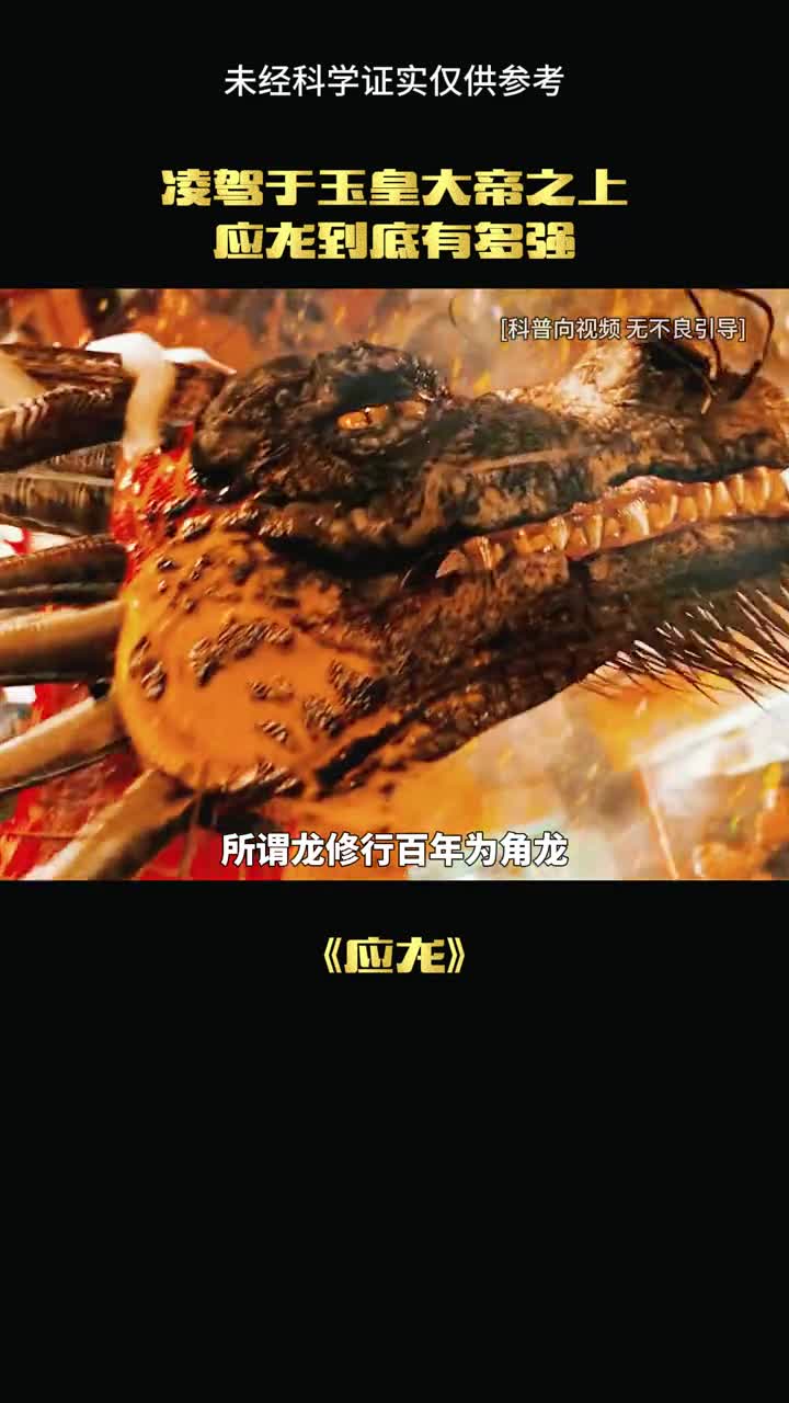 祖龙到底是什么样子的