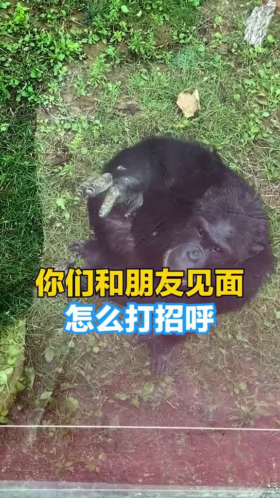 不知道的还以为你俩认识端午放假你也来试试