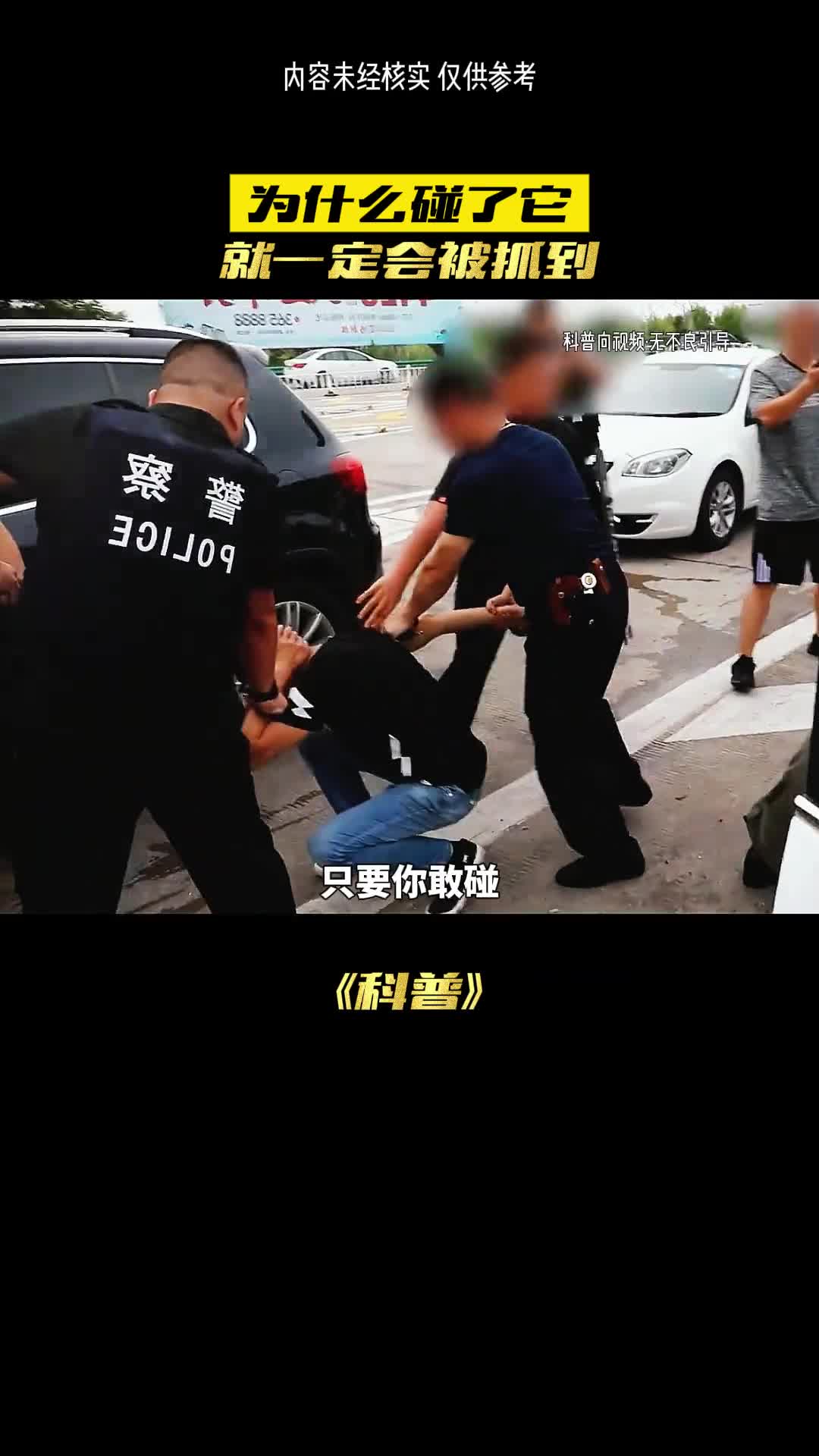 如此奇怪的冷知识你又知道多少