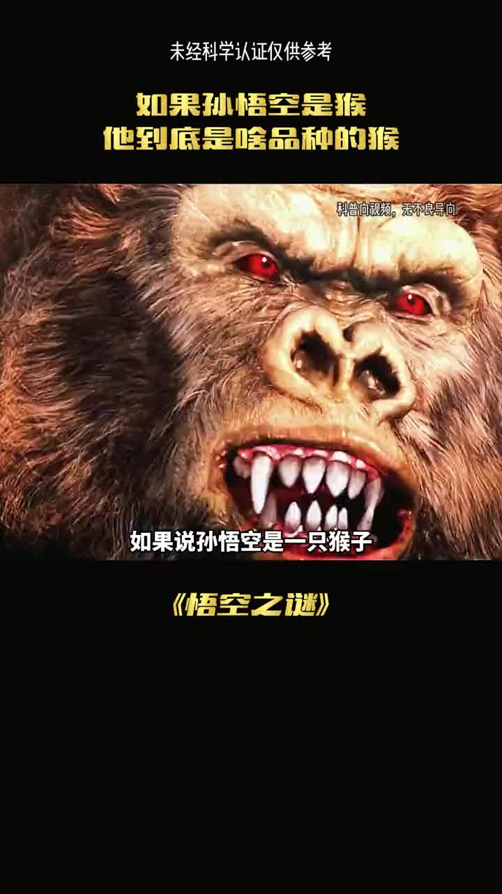 如果说孙悟空是个猴会是什么品种呢