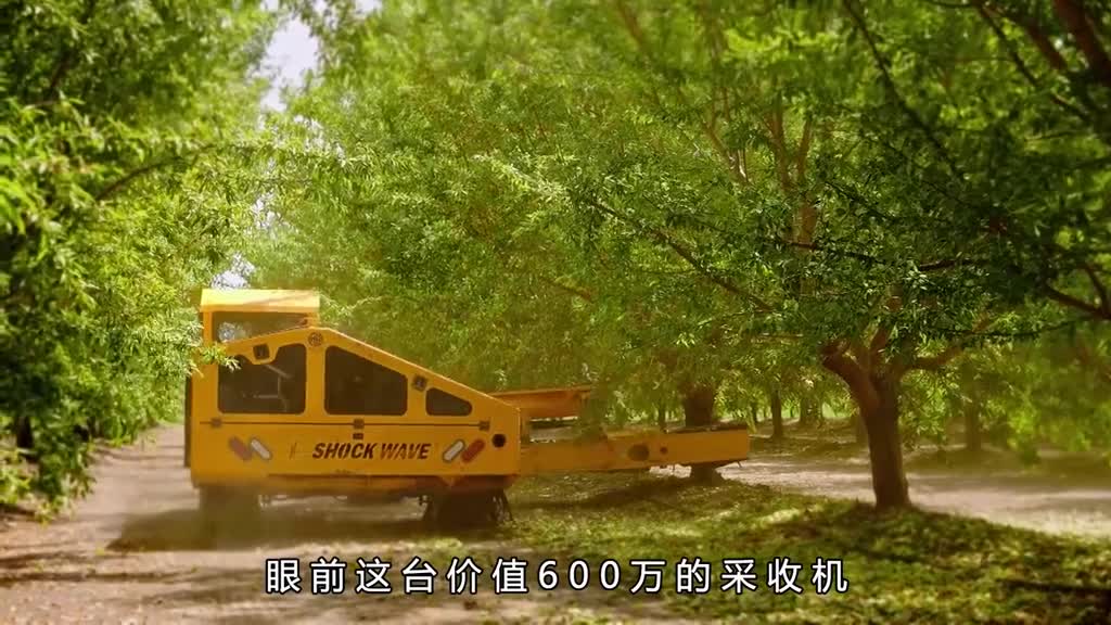 你吃过布朗尼吗