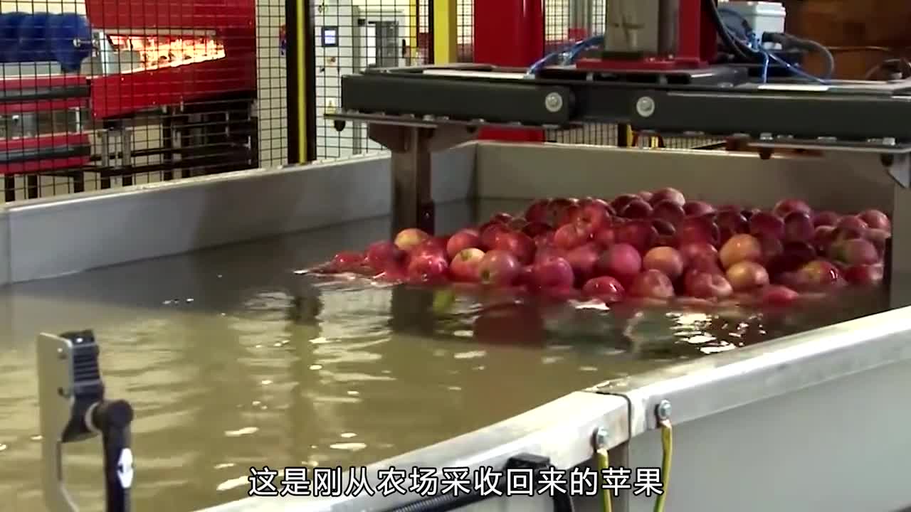 苹果醋是如何生产的