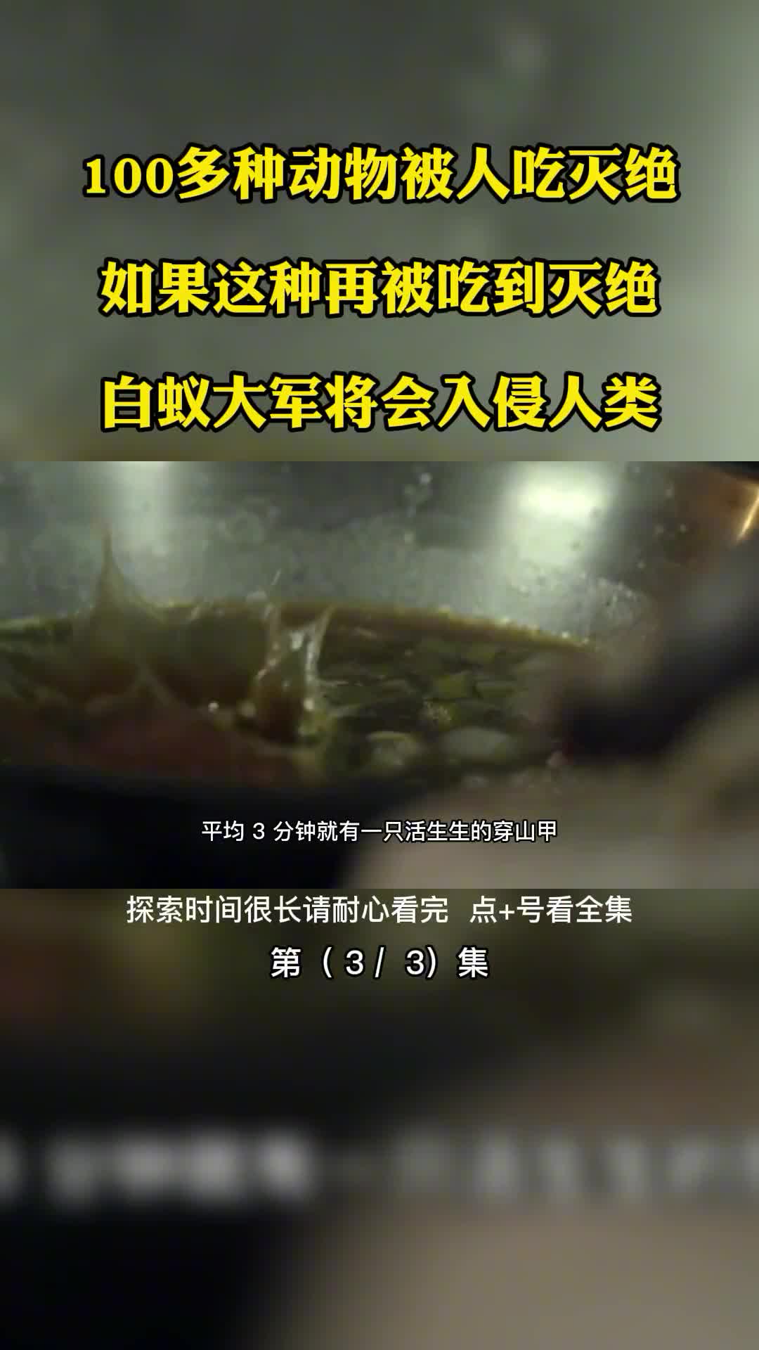 100多种动物被人吃灭绝如果这种再被吃到灭绝白蚁大军将会入侵人类第3集