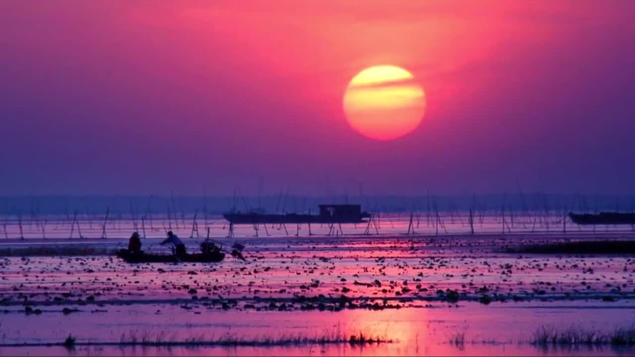 初夏时节赏荷季已悄然开启来滕州微山湖湿地红荷旅游风景区赏万顷红荷观百里芦荡尽享微山湖独特的水乡风韵