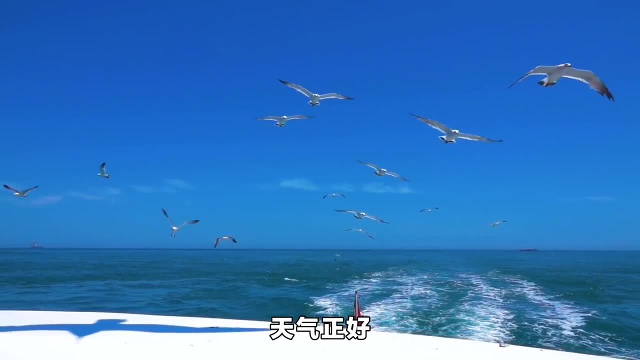 如果可以一起去趟威海西霞口吧美景正当时不负好时光