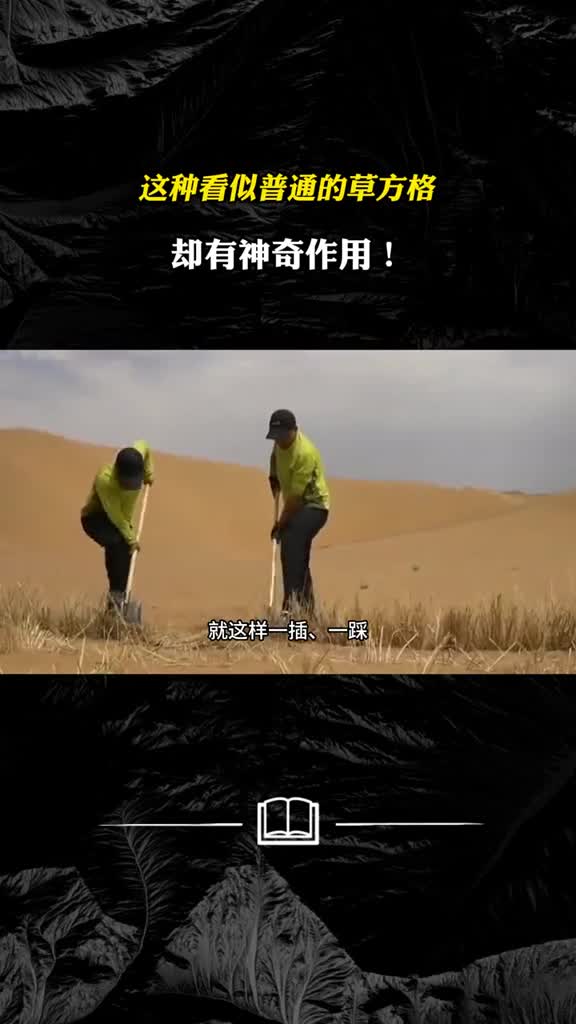 这种看似普通的草方格却有神奇作用