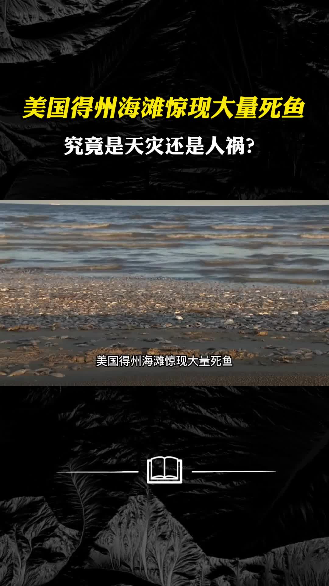美国得州海滩惊现大量死鱼究竟是天灾还是人祸