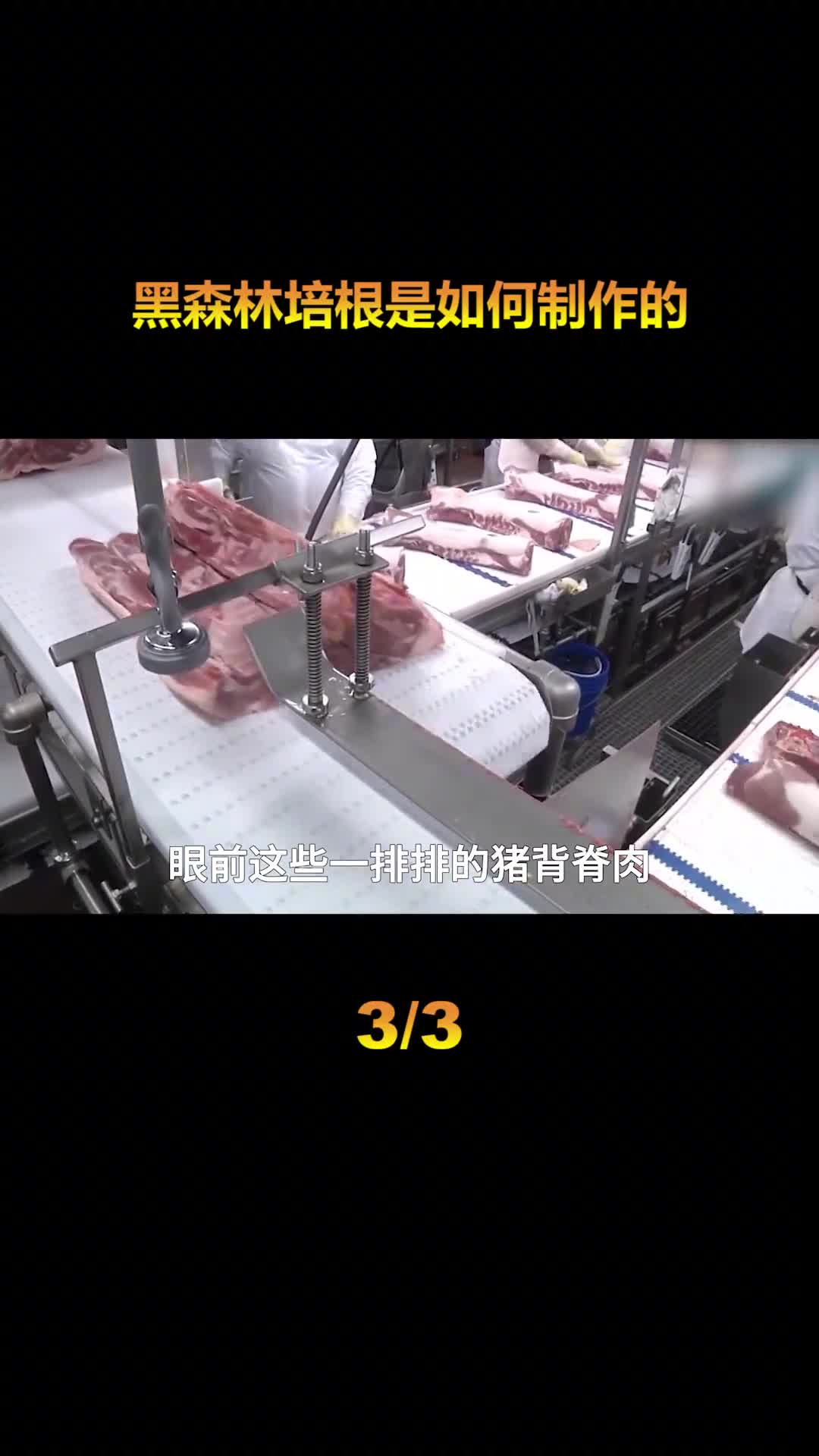 探访培根加工厂培根也有黑森林究竟是不是德国人的黑暗料理
