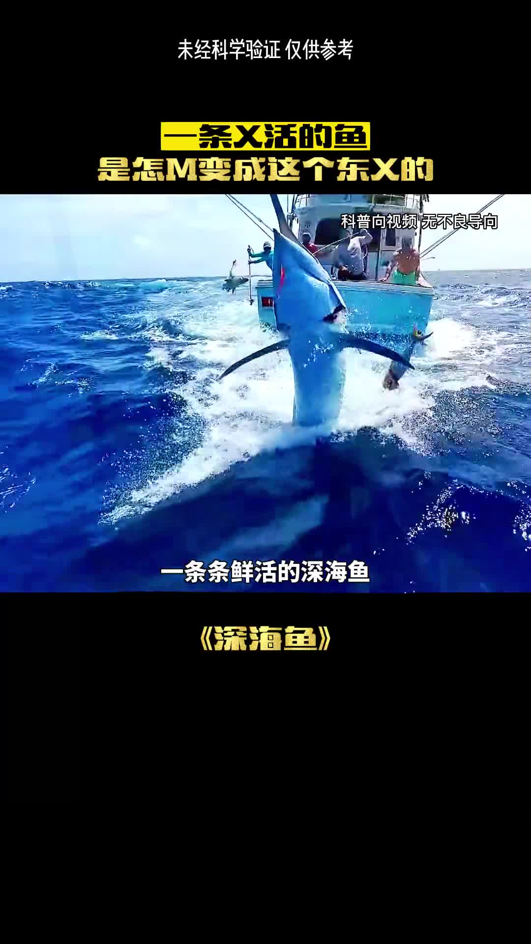很难想象深海的馈赠有多神奇