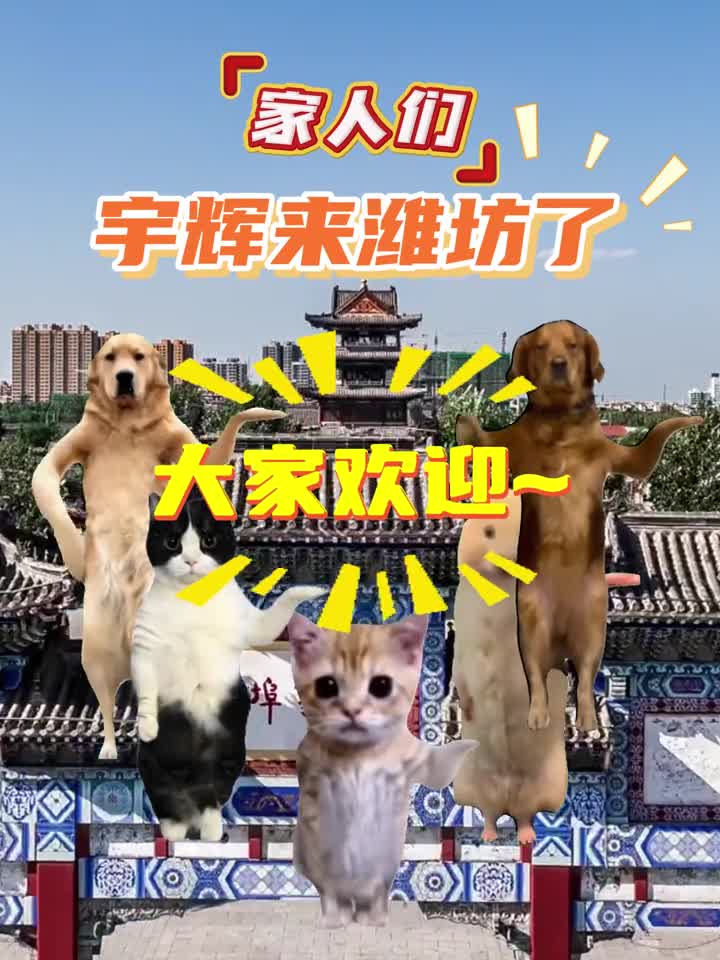 家人们宇辉来潍坊了音乐不要停鲁鲁需要一支整齐的欢迎队伍