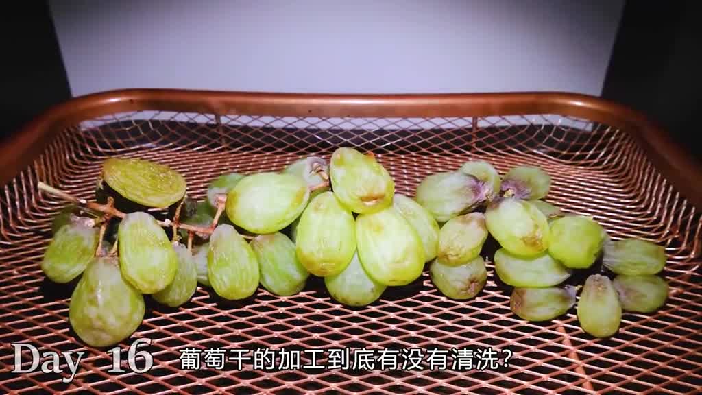 火山育葡萄人见葡萄乐自然风干的葡萄干真的好吃