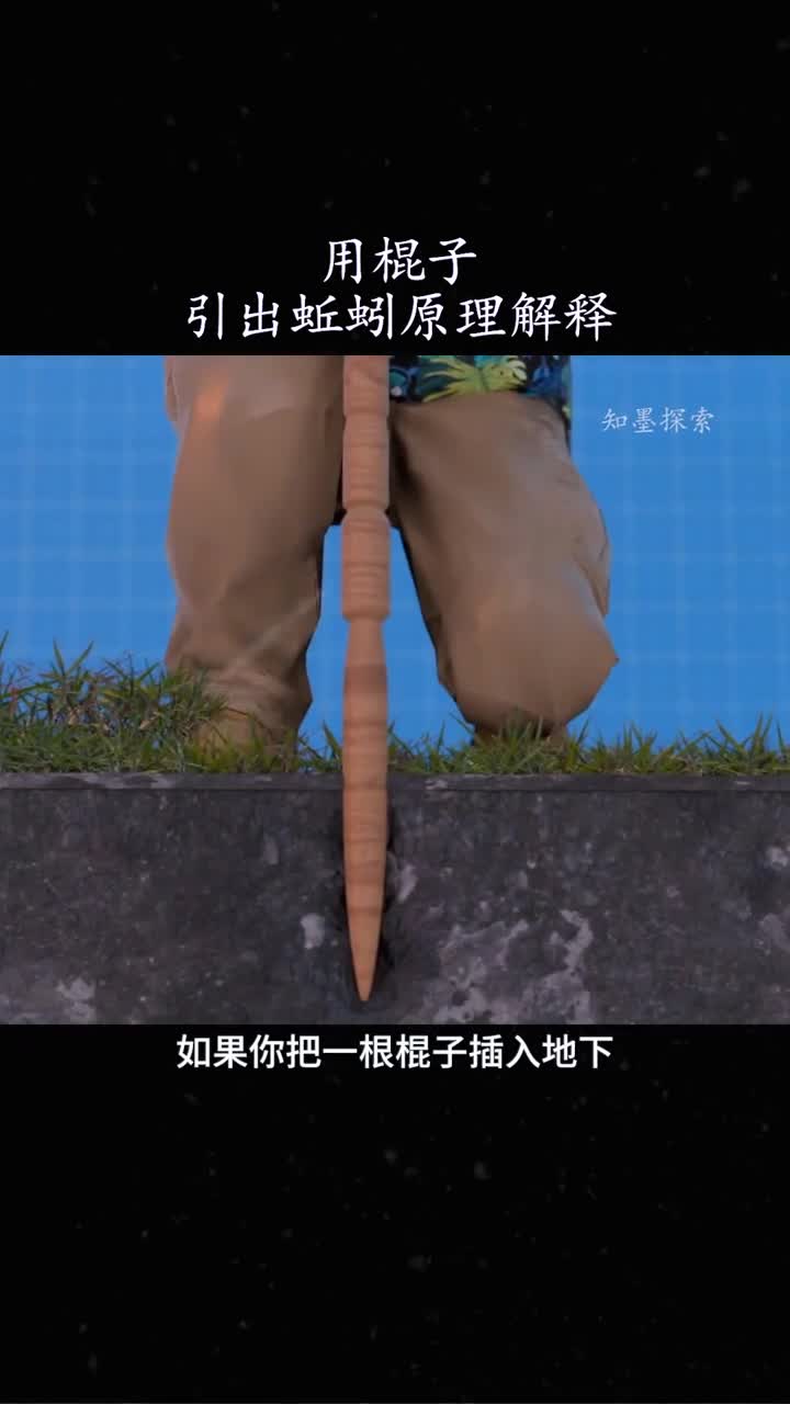 敲打棍子就能够引出蚯蚓解释