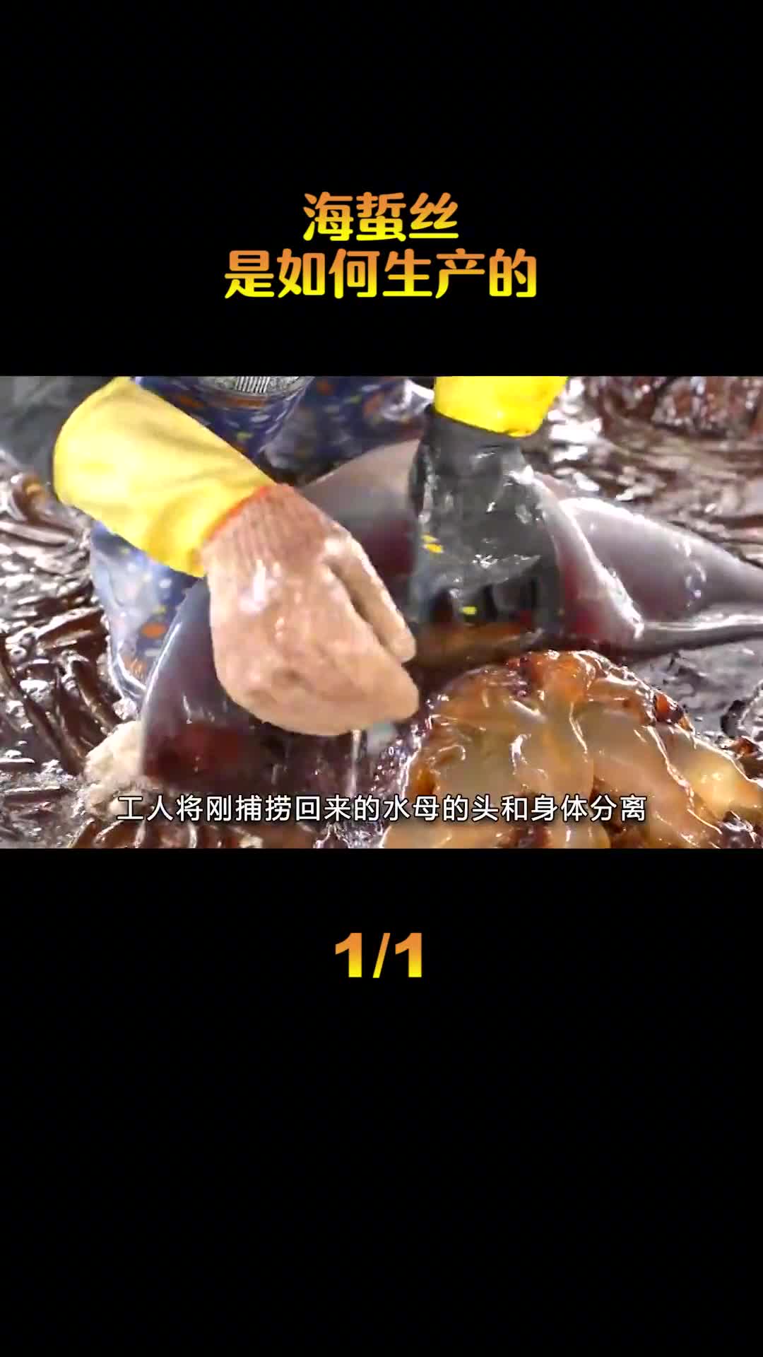 海蜇丝是如何生产的
