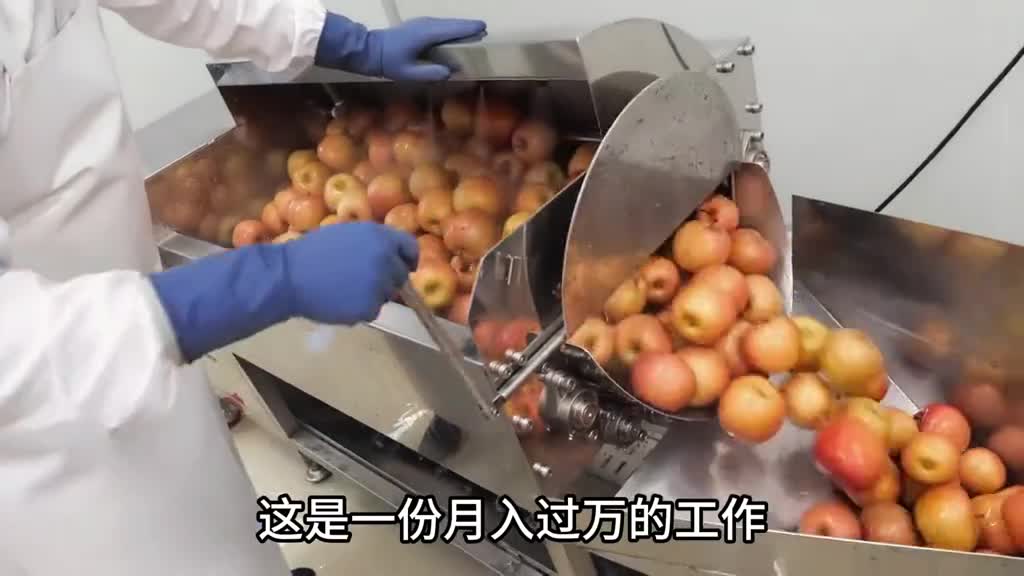 俗话说好果不榨汁这家工厂却偏偏精选优质苹果榨汁