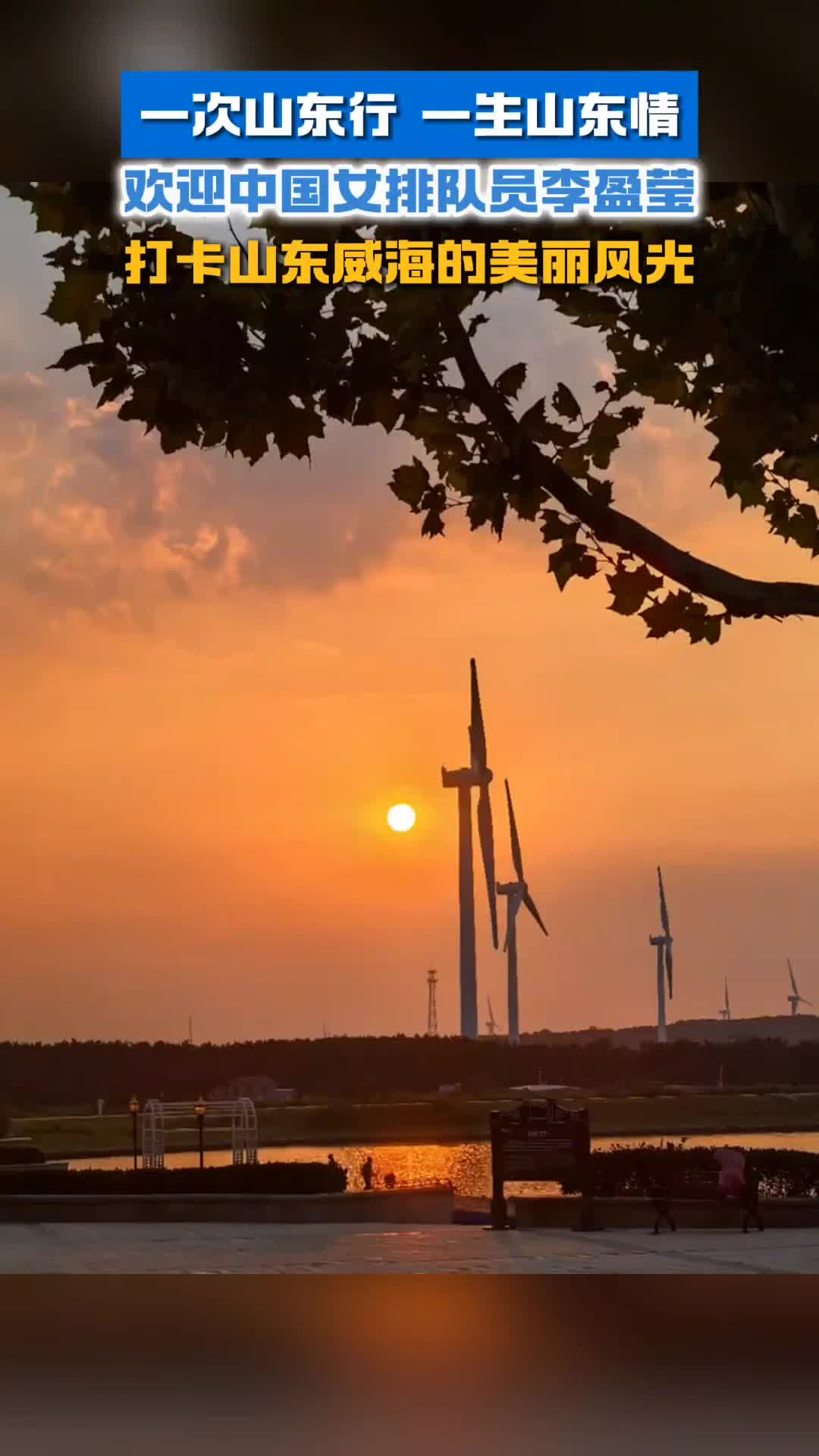 一次山东行一生山东情欢迎中国女排队员