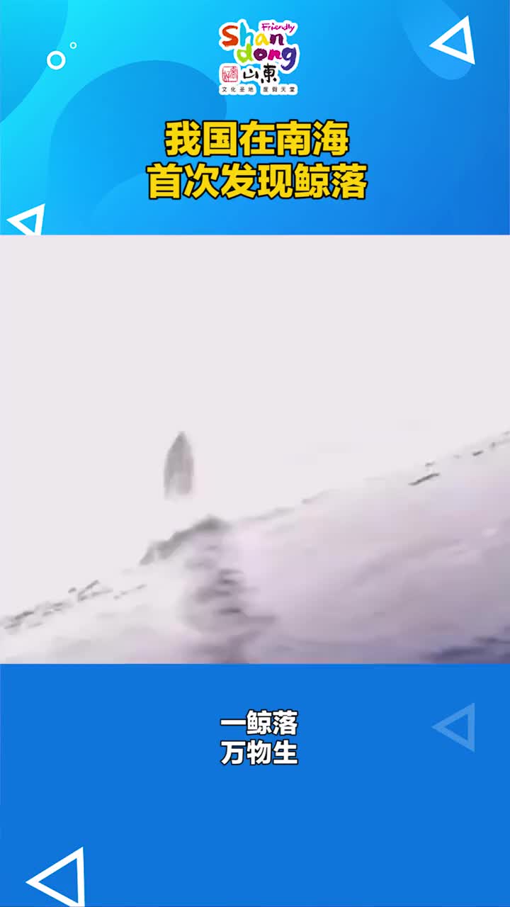 一鲸落万物生我国在南海首次发现鲸落抖音小助手