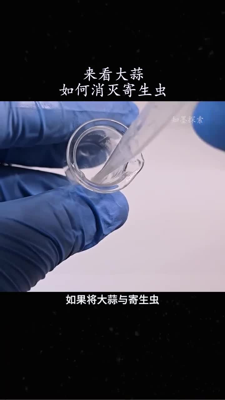 当大蒜遇到寄生虫会发生什么