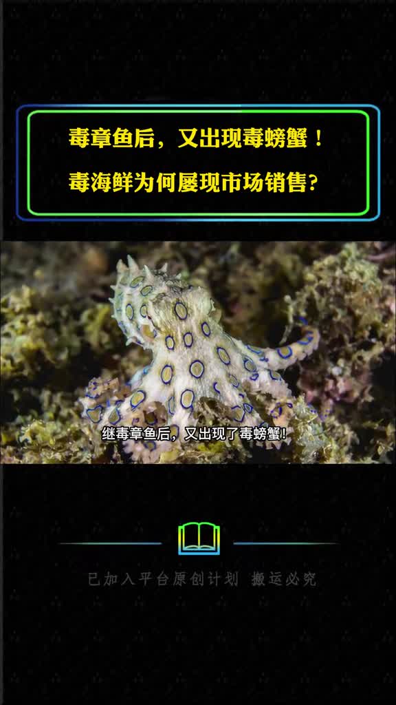 毒章鱼后又出现毒螃蟹某海鲜市场正在销售