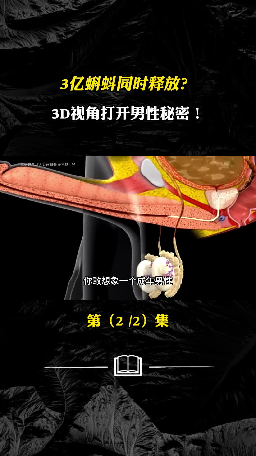 男性3亿蝌蚪释放3D视角下器官秘密多巴胺的快乐