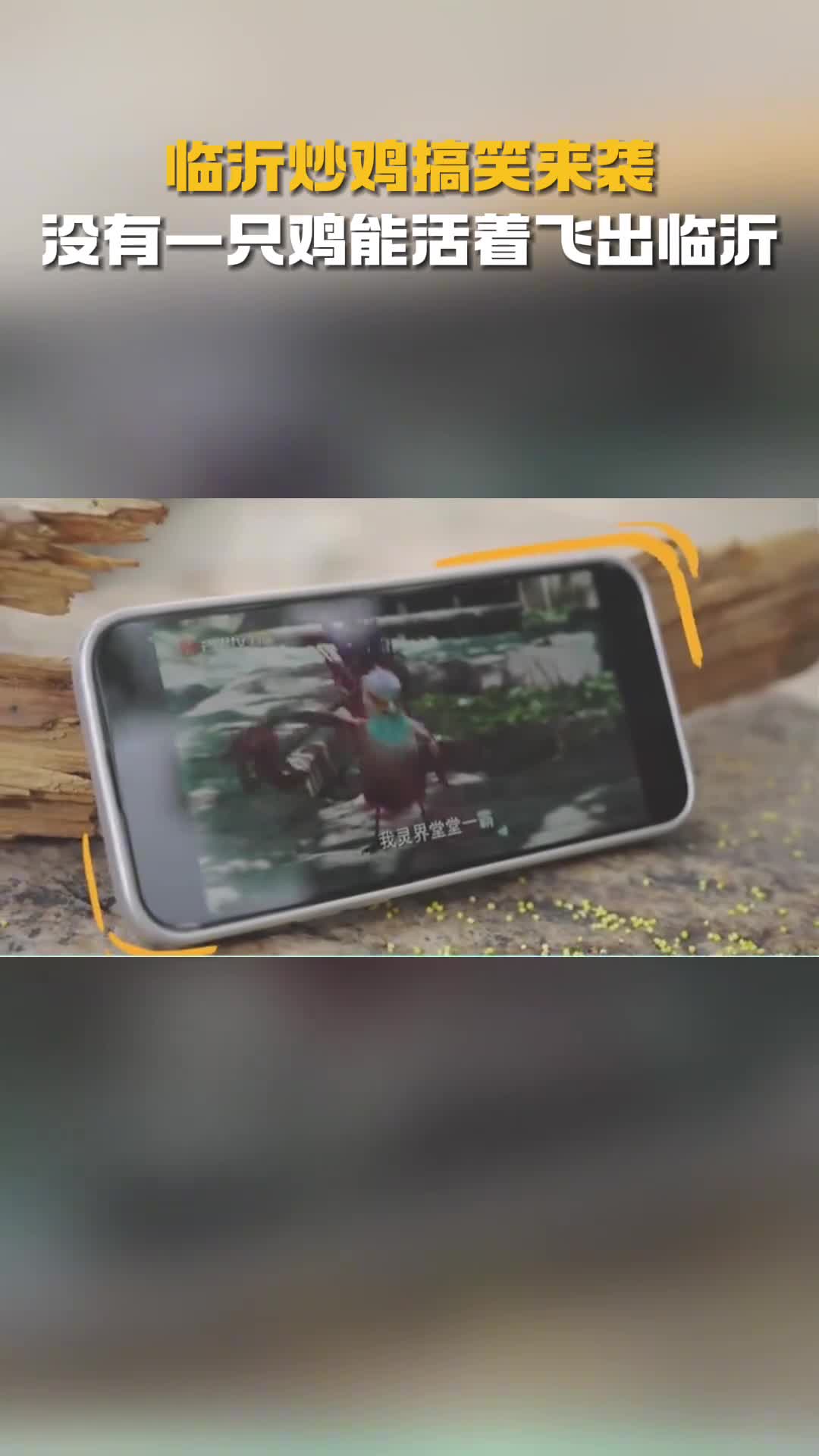 临沂炒鸡搞笑来袭没有一只鸡能活着飞出临沂
