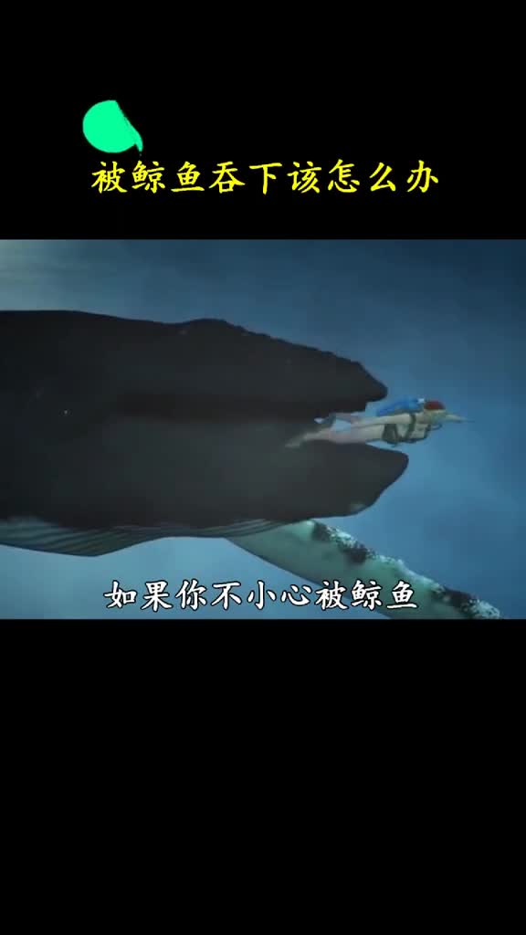 不小心被鲸鱼吞下别慌你还有机会