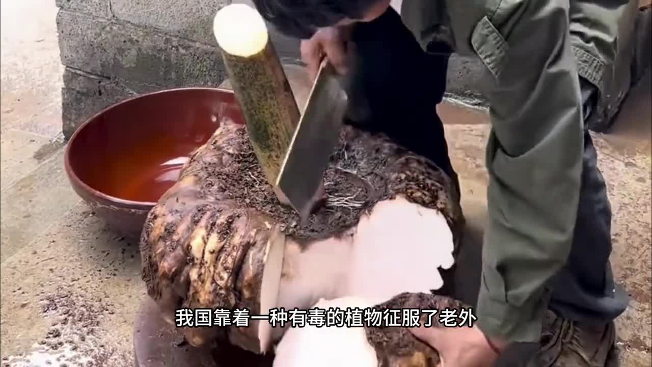 卫龙居然出新口味的魔芋爽了Q弹爽脆香香辣辣真的好吃又解馋