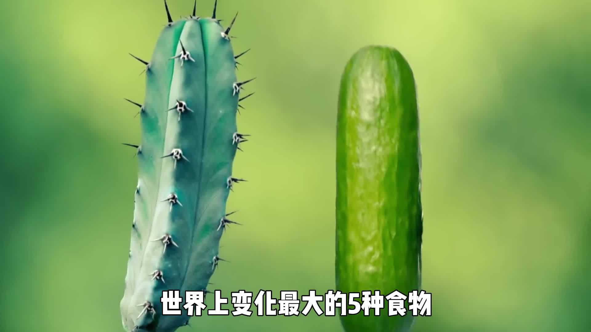 世界上变化最大的5种食物你现在吃的香蕉可能是假的