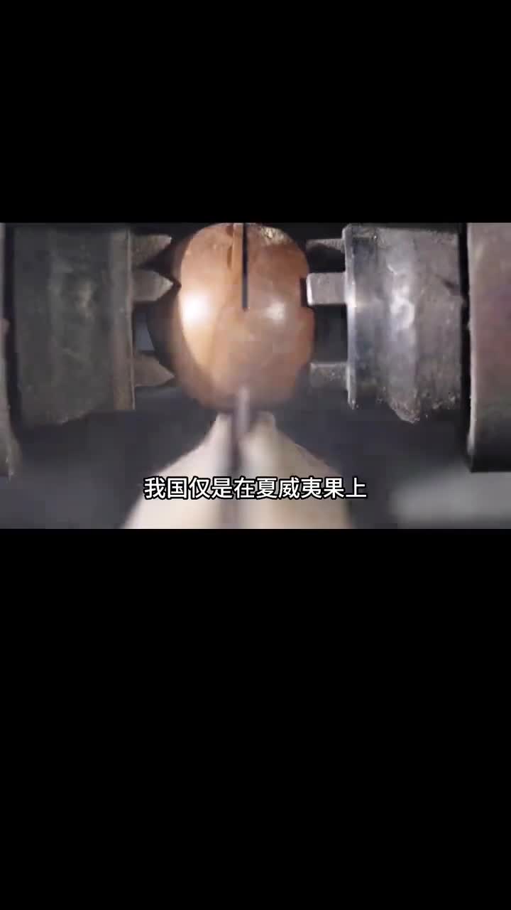 你知道夏威夷果外壳为何如此坚硬吗