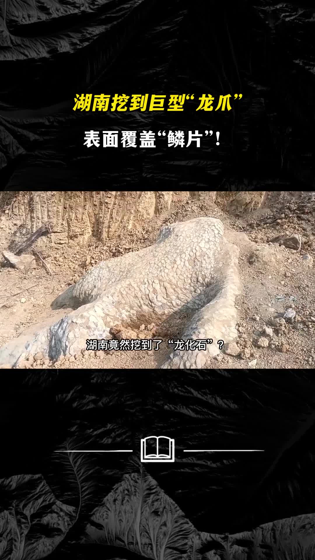 湖南挖到巨型龙爪表面覆盖鳞片龙真的存在吗