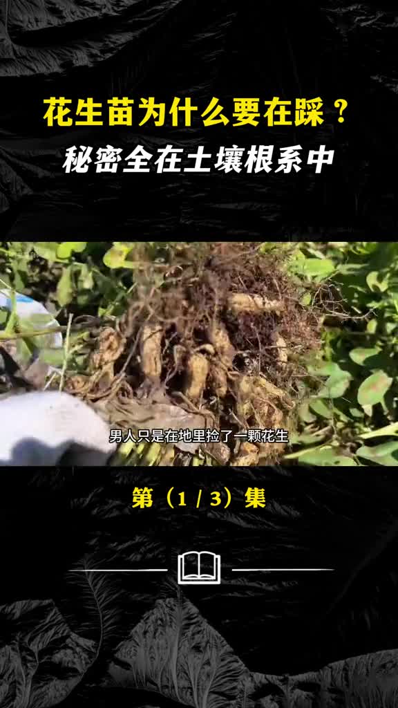 香酥花生为何又香又脆它是怎样加工制作的