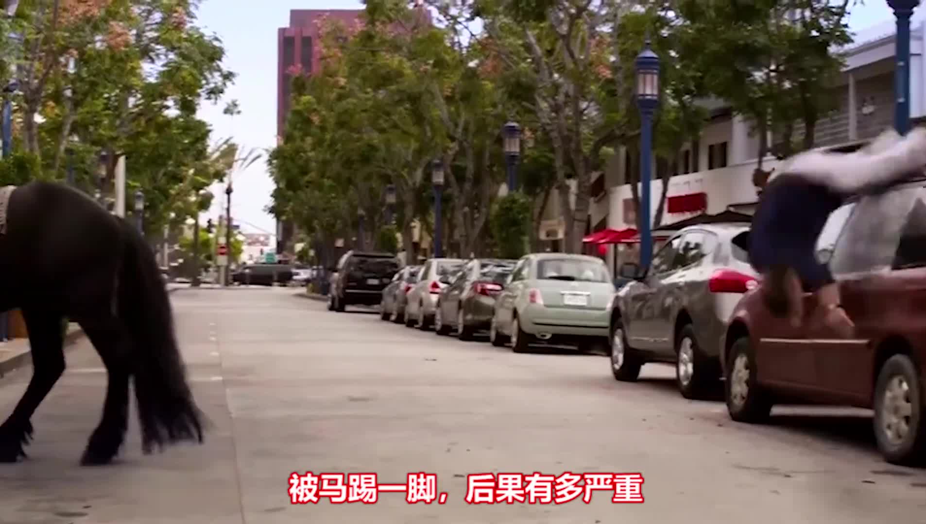 被马踢一脚后果有多严重