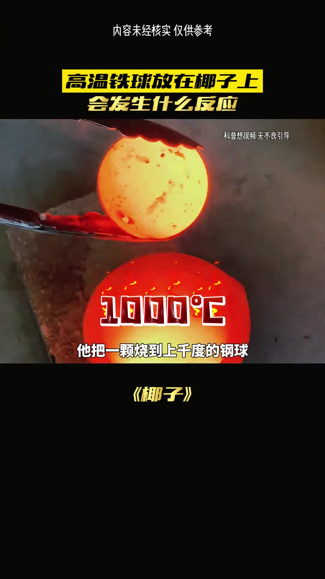 椰子倒地哪里不一样呢